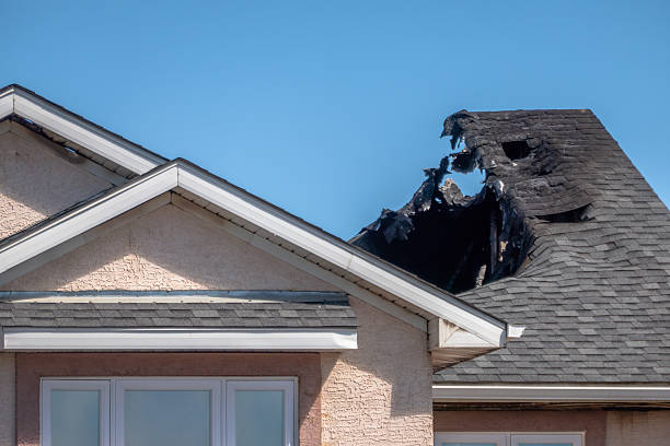 Top rated local Fire Damage Removal specialists in New Market, MD